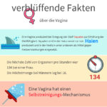 10 verblüffende Fakten über die Vagina
